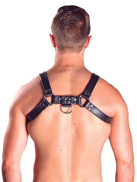 Leather Chest Harness