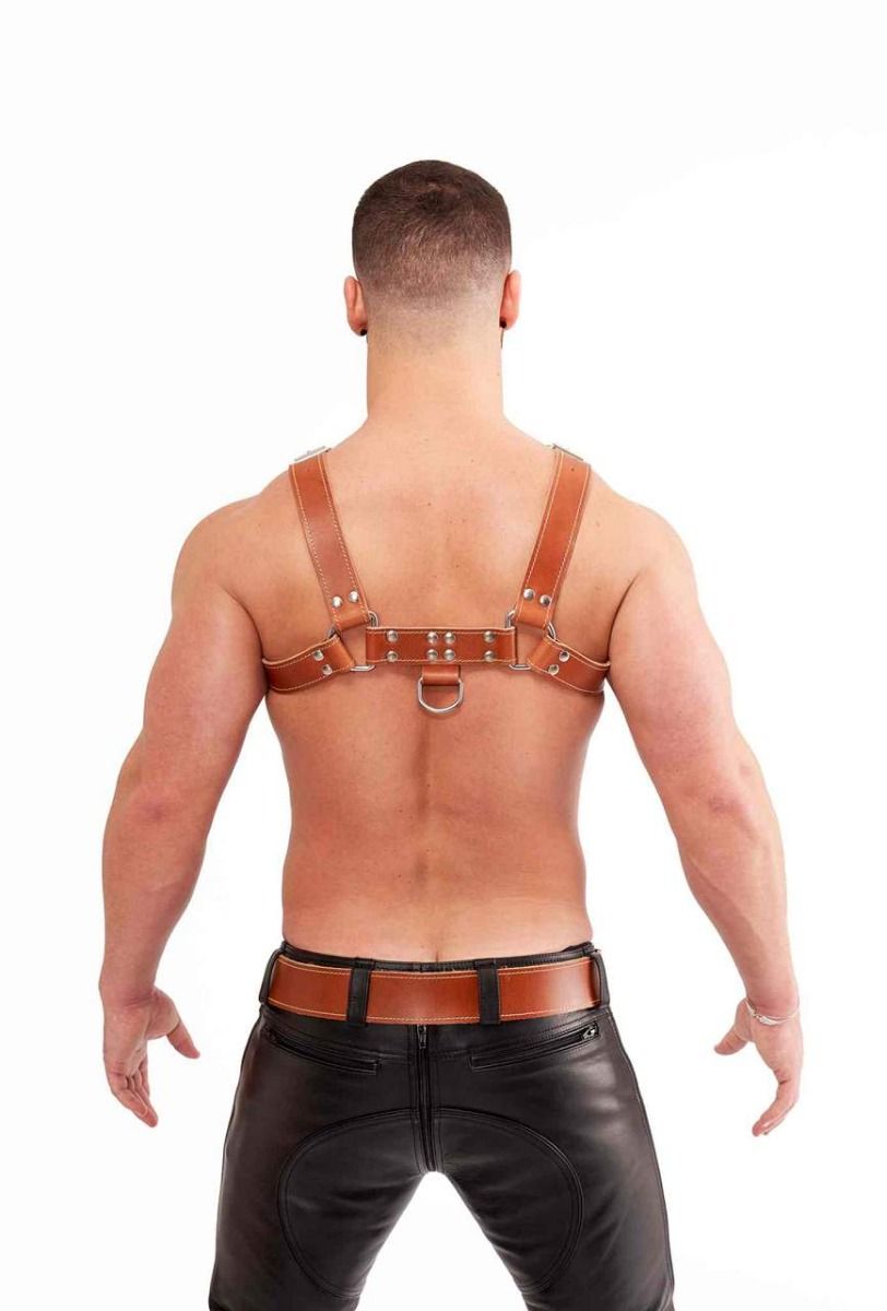 Leather Chest Harness Saddle Leather Brown