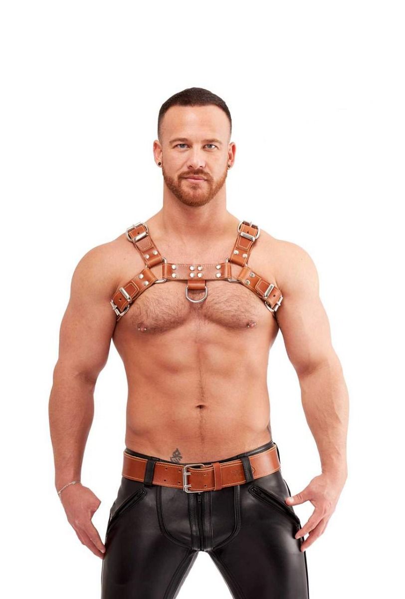 Leather Chest Harness Saddle Leather Brown
