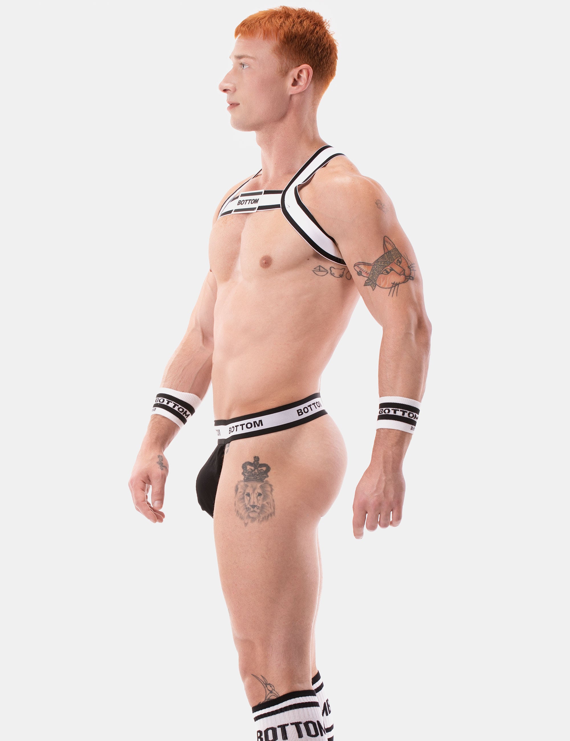 Harness - Bottom