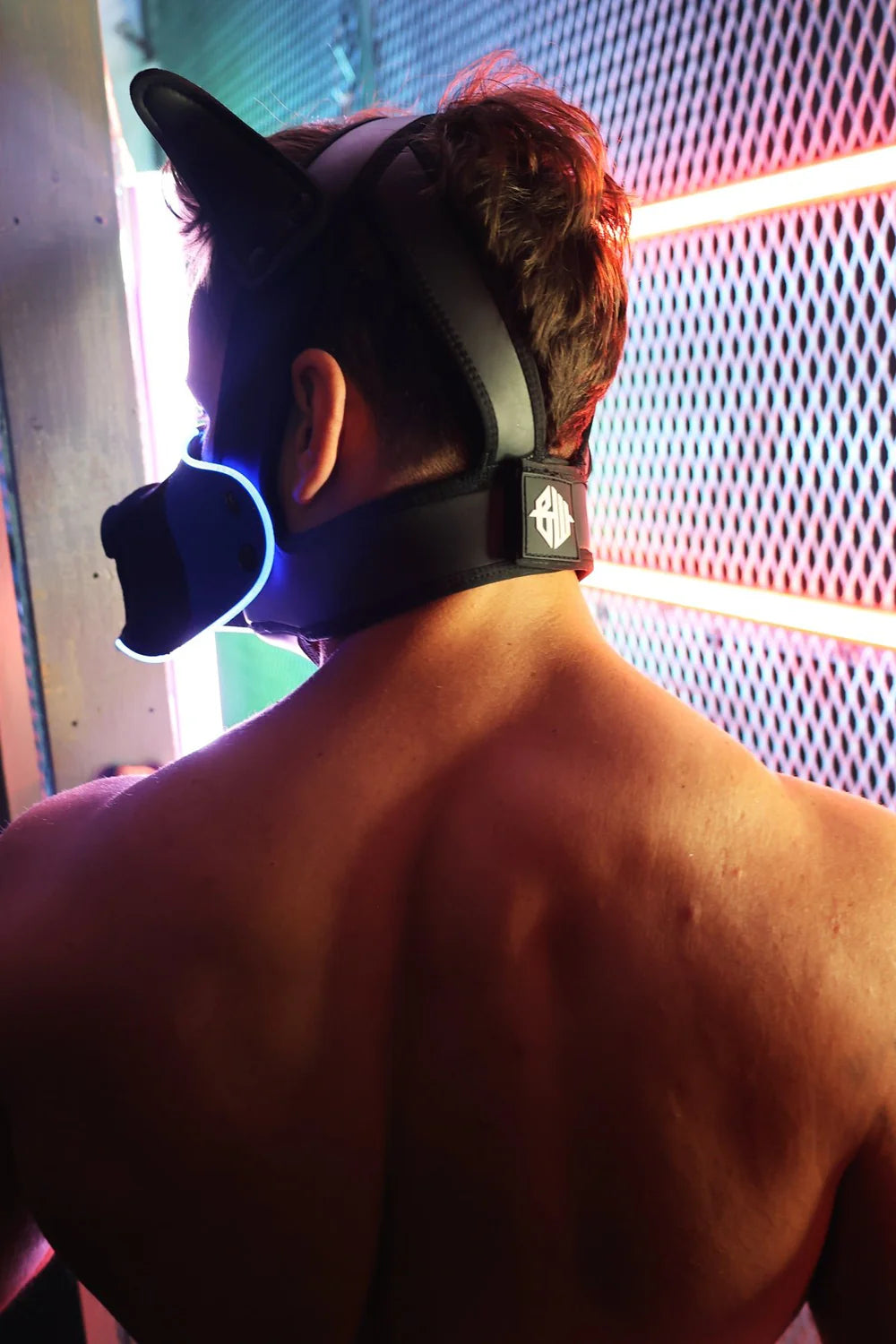 Poundtown Pup Mask 2.0