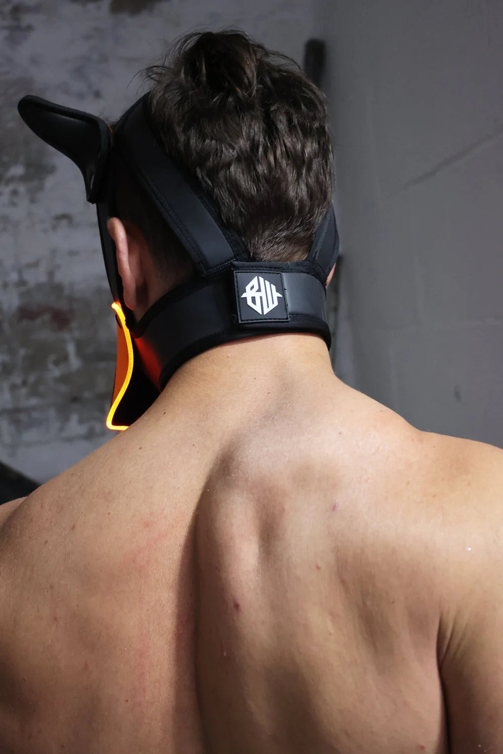 Poundtown Pup Mask 2.0