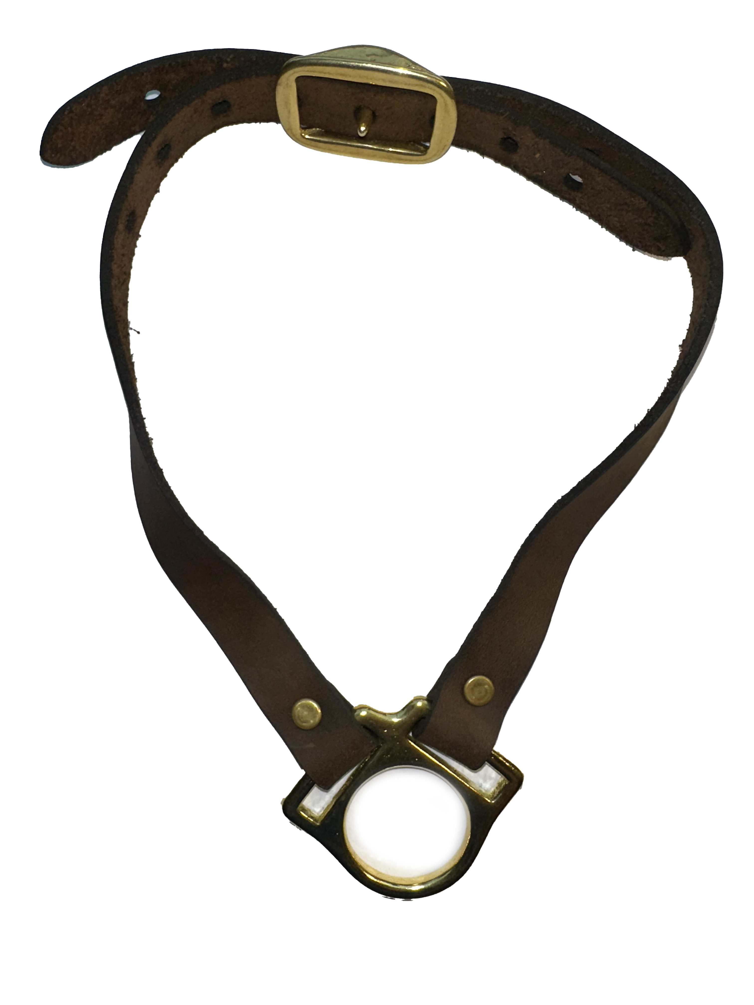 Leather Pup Collar