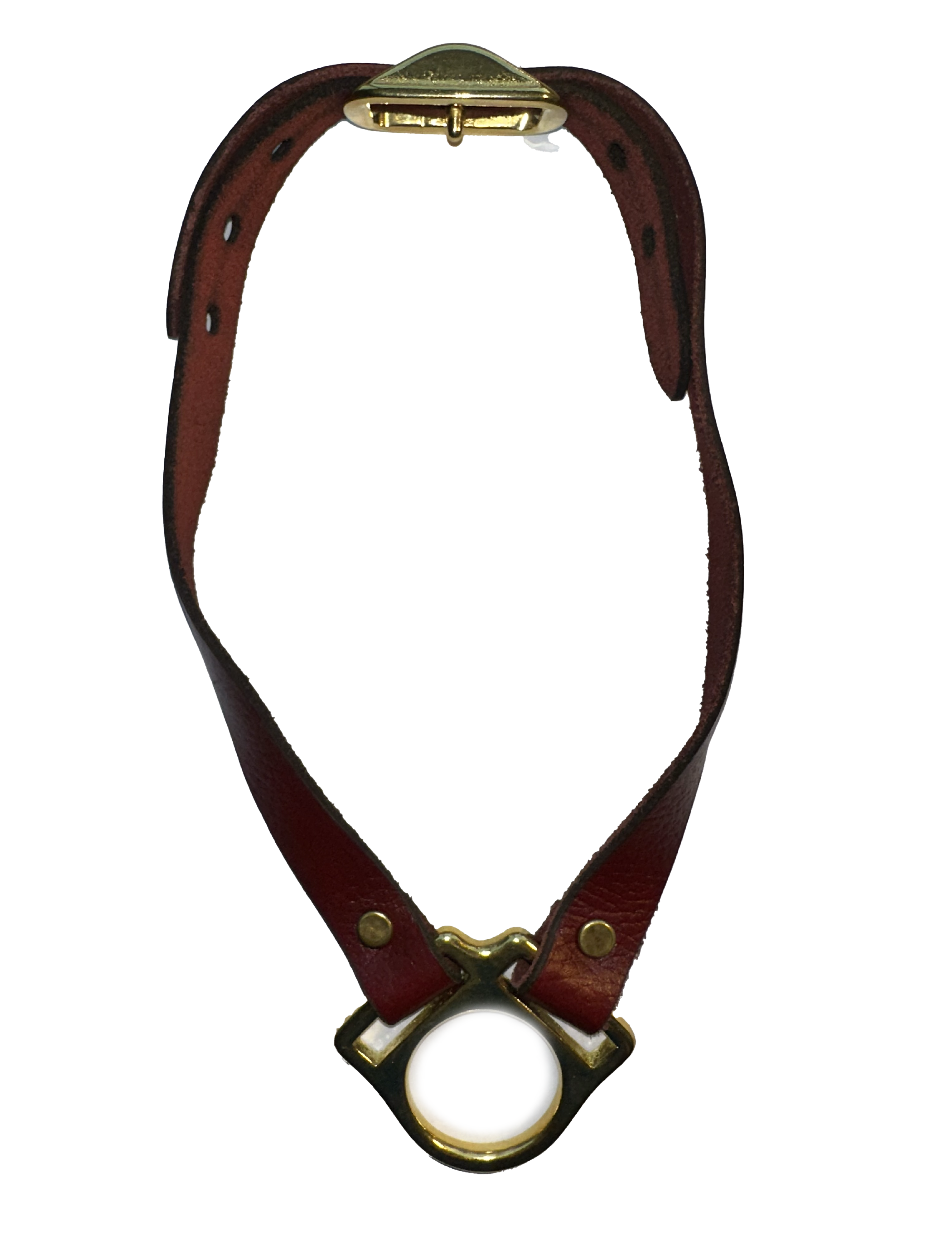 Leather Pup Collar