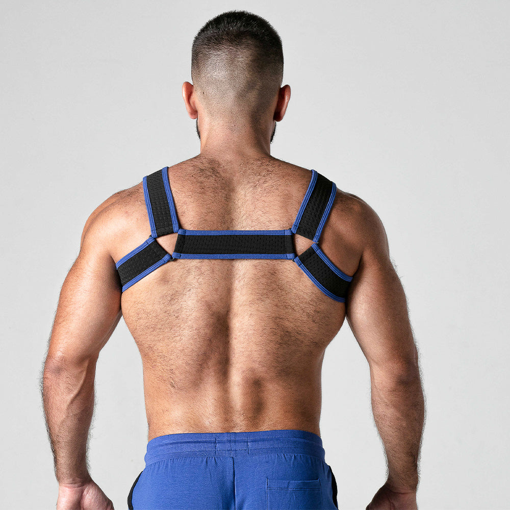 Look At Mesh Harness