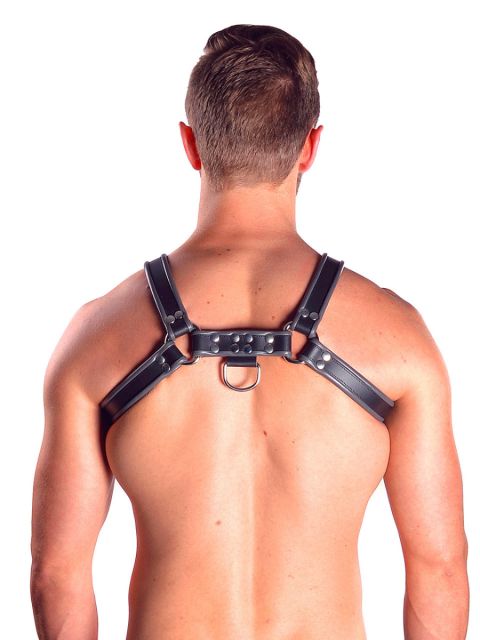 Leather Chest Harness