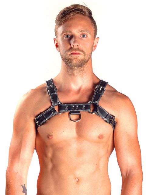 Leather Chest Harness