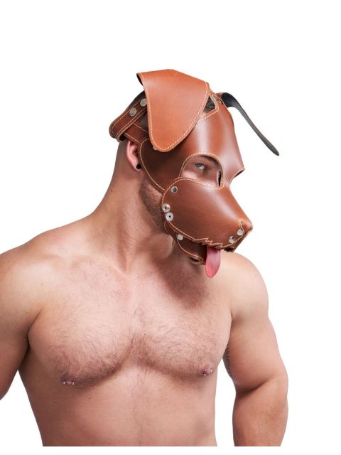 Floppy Dog Hood