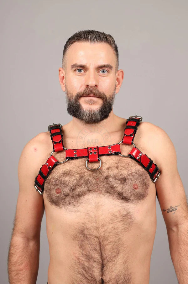 PVC Harness