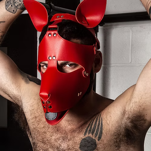 Rogue Pup Hood