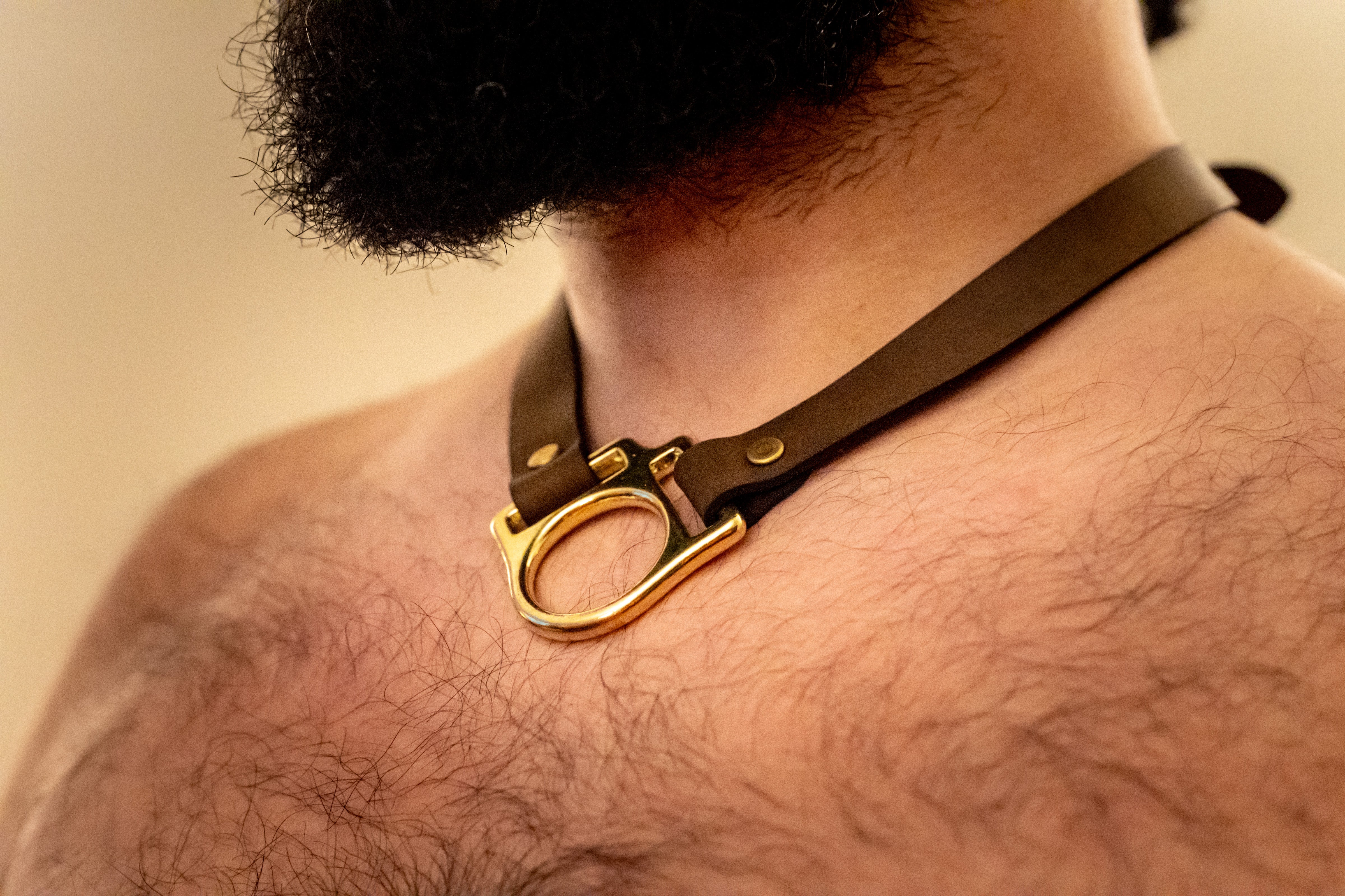 Leather Pup Collar