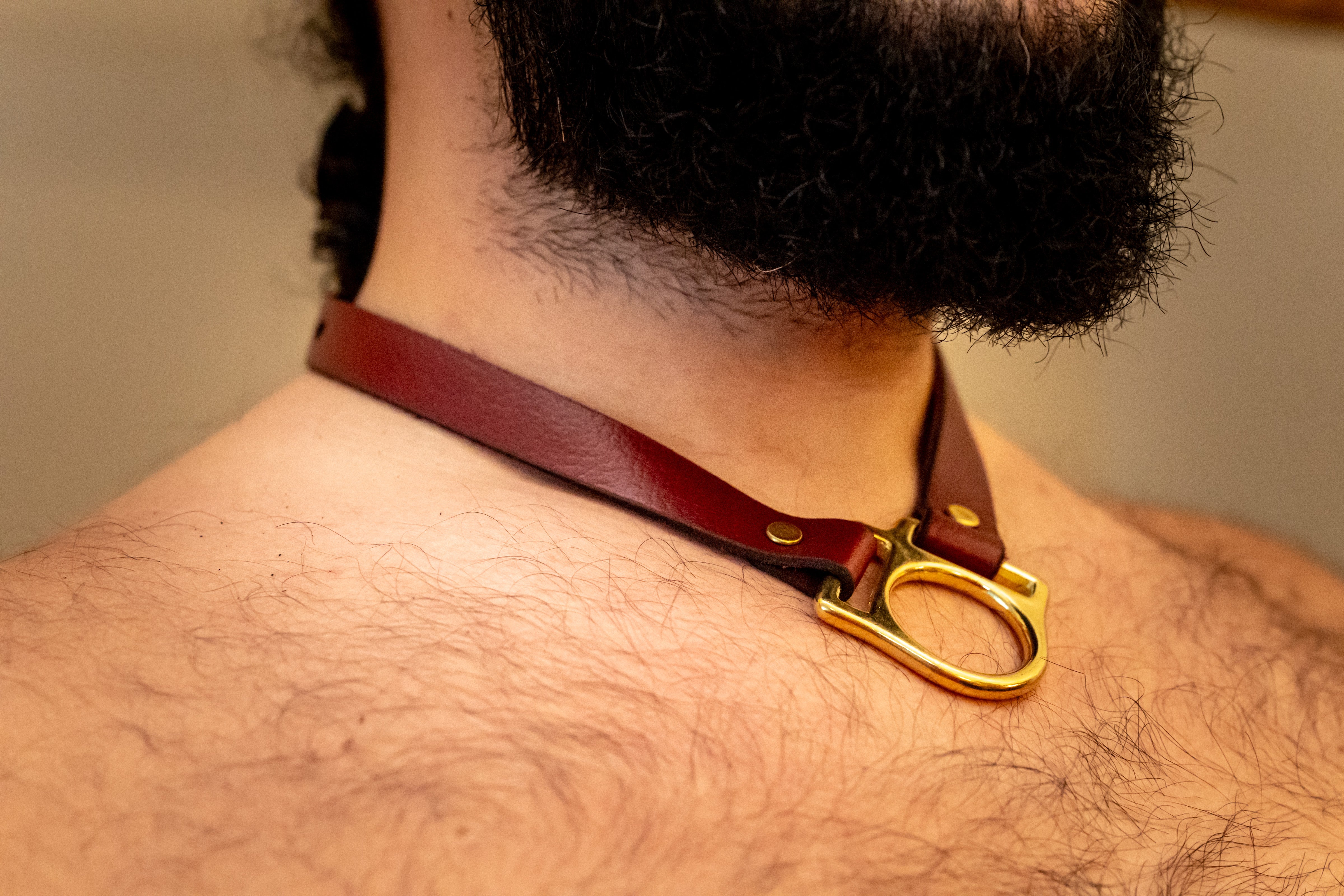 Leather Pup Collar