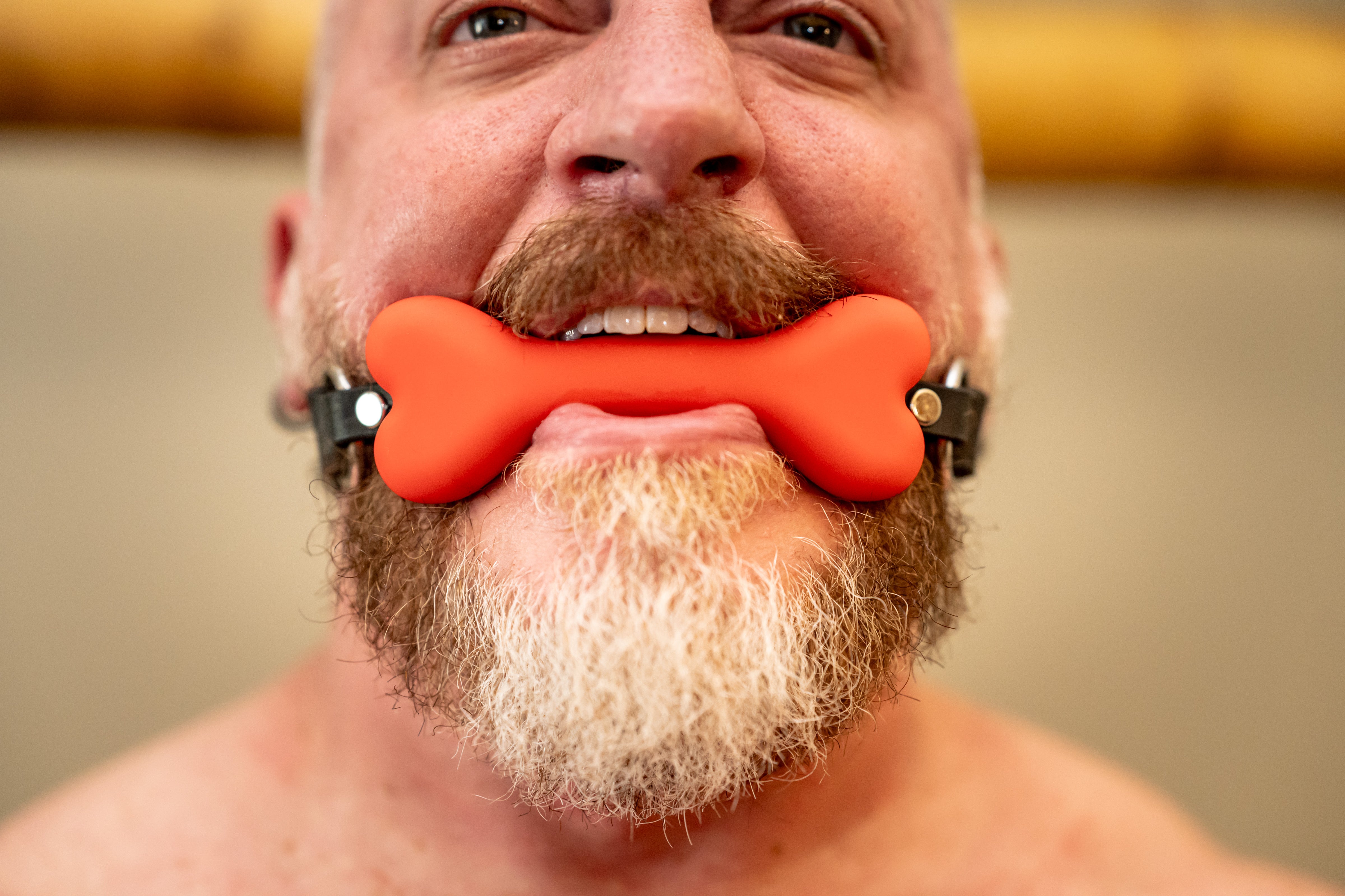 Leather Silicone Puppy Bone Gag