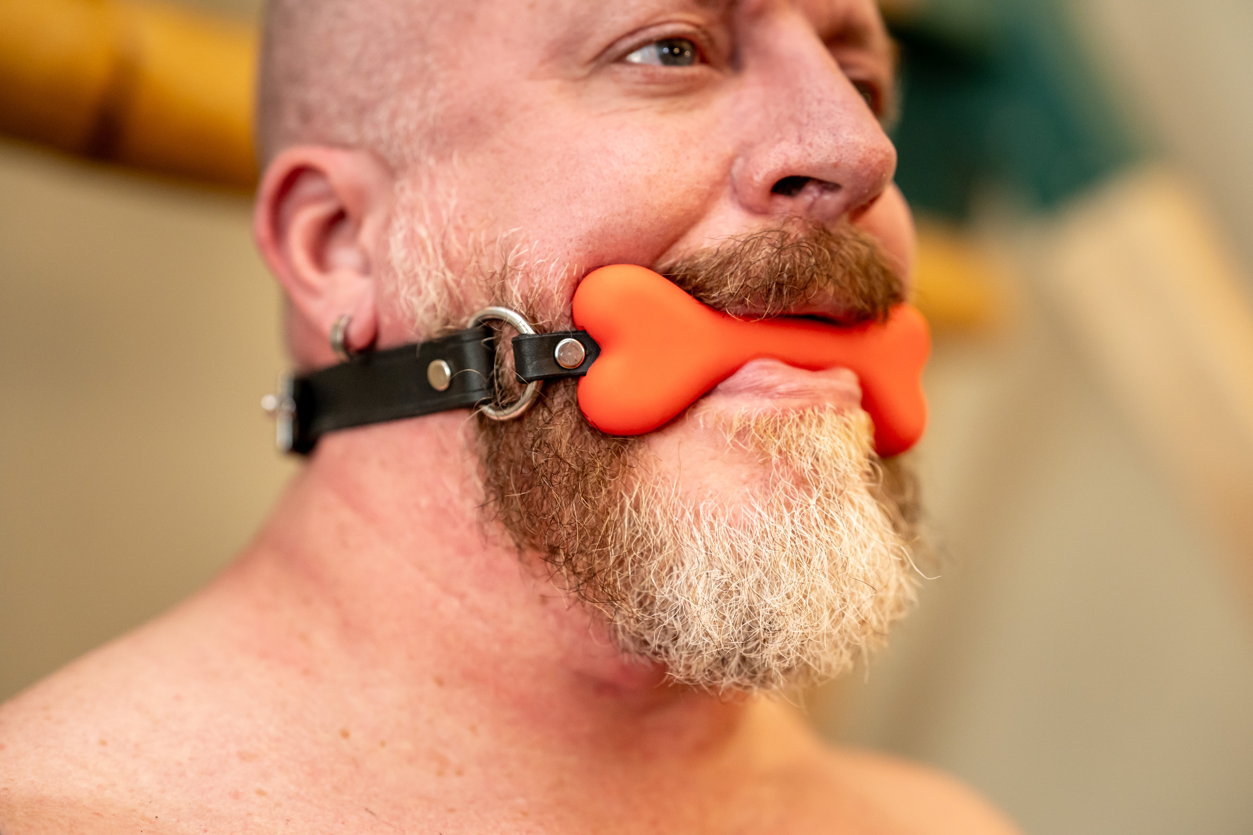 Leather Silicone Puppy Bone Gag