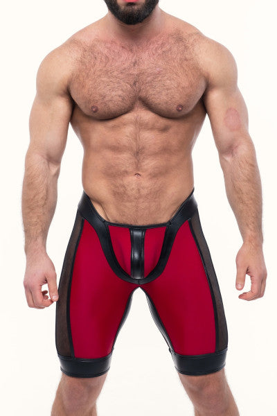 Orfeo Shorts In Bordeaux