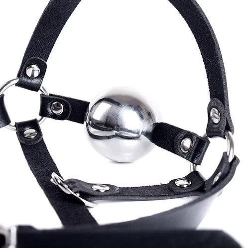 Steel Ball Gag
