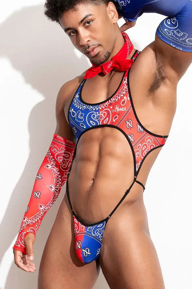 This bodice is made of polyester and has an eye-catching red and blue paisley pattern. It comes with matching sleeves, one in red paisley and one in blue paisley.