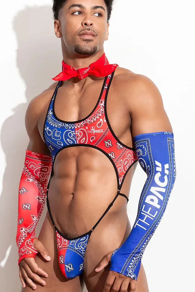 This bodice is made of polyester and has an eye-catching red and blue paisley pattern. It comes with matching sleeves, one in red paisley and one in blue paisley.
