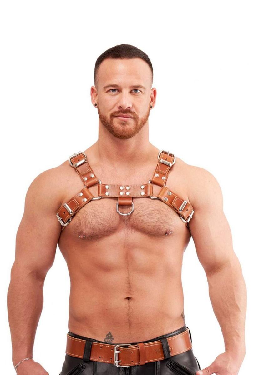 Leather Chest Harness Saddle Leather Brown