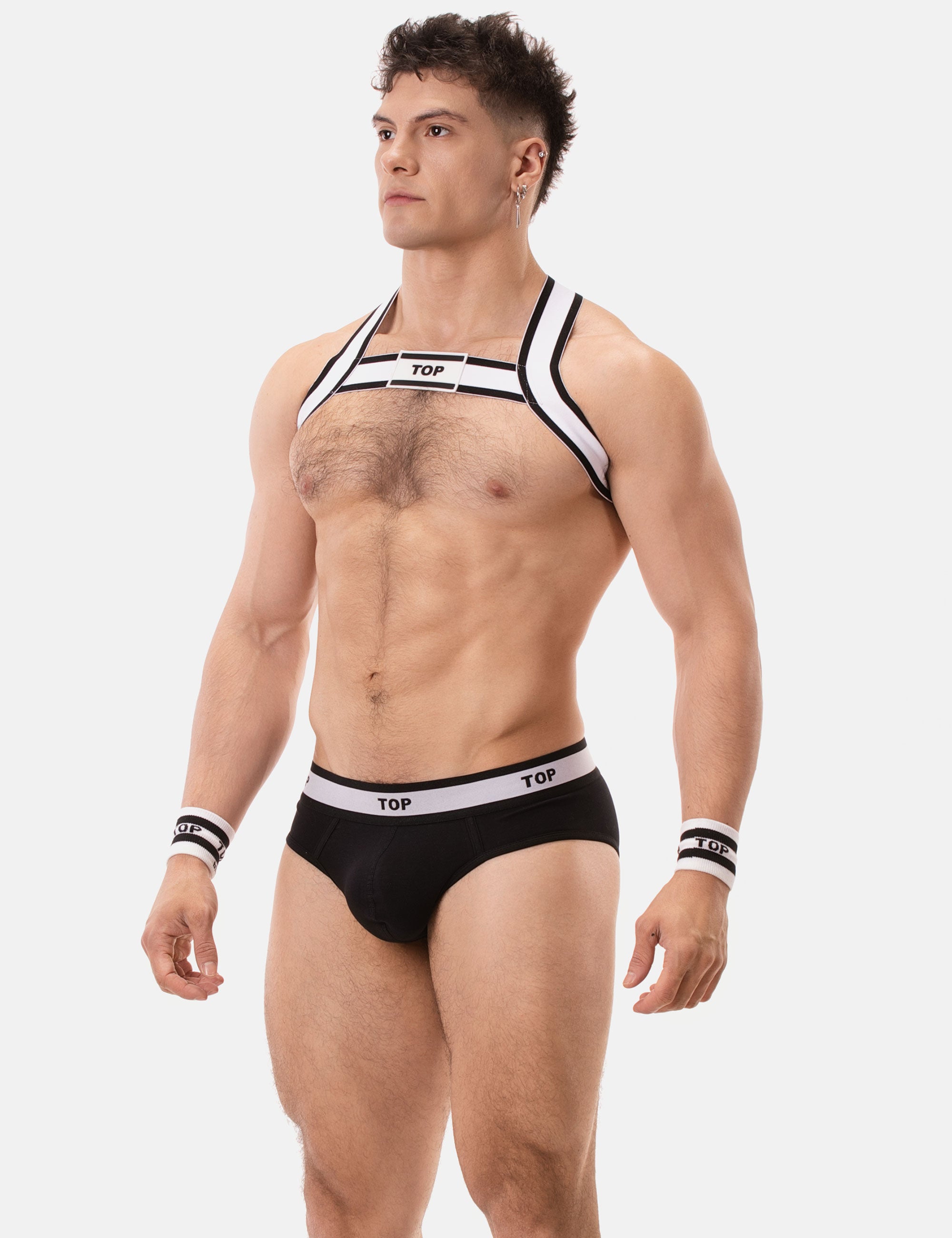 Harness - Top