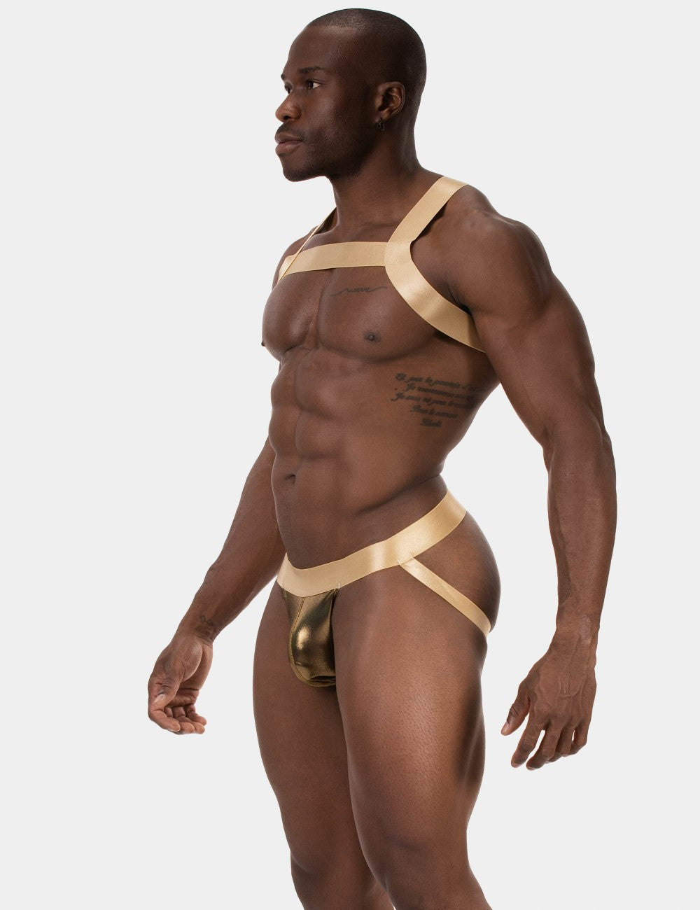 Harness Dono Gold