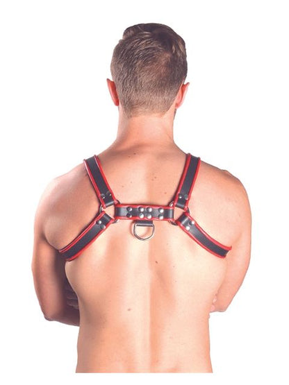 Leather Chest Harness