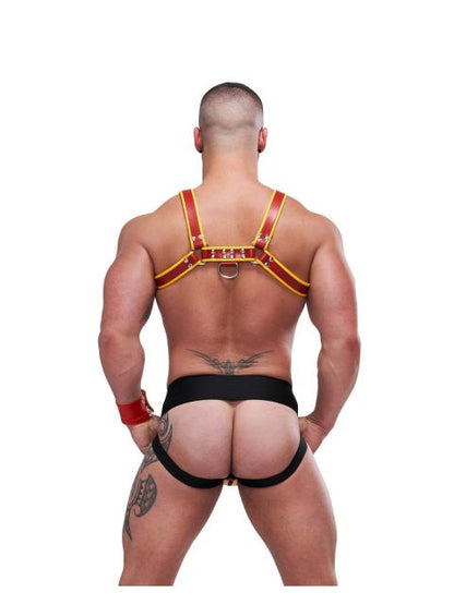 Leather Circuit Harness