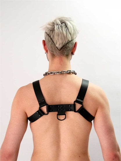 Leather Chest Harness Saddle Leather Black