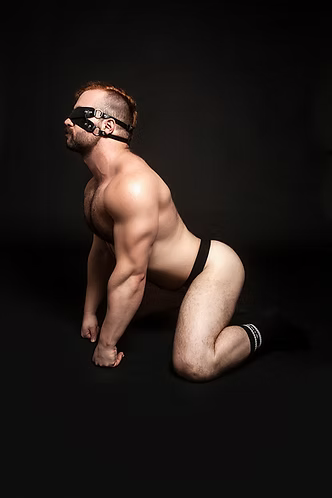 Noir Harness Blindfold