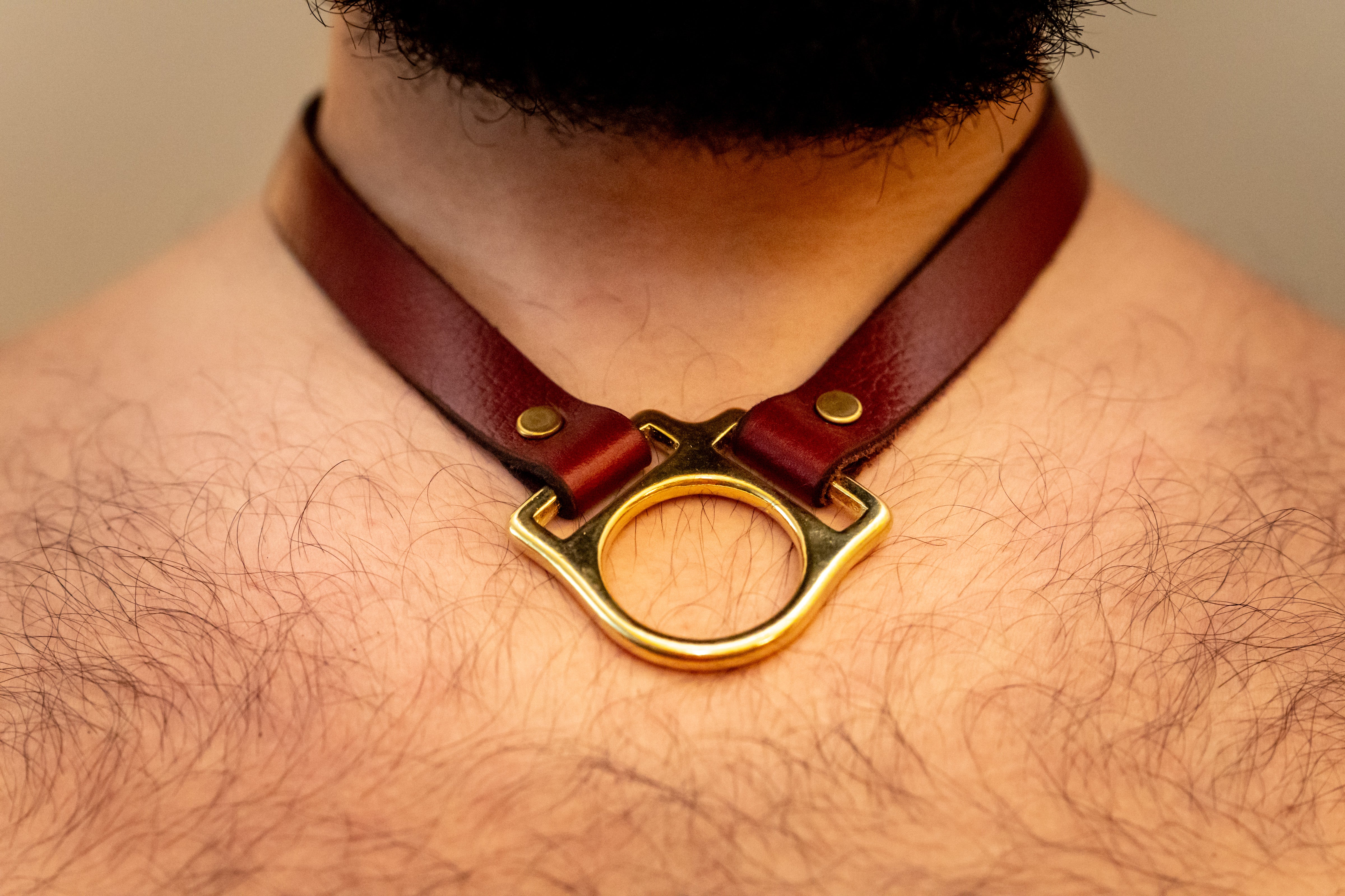 Leather Pup Collar
