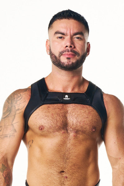 Pegasus Harness
