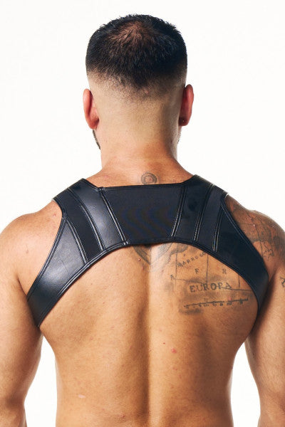 Pegasus Harness