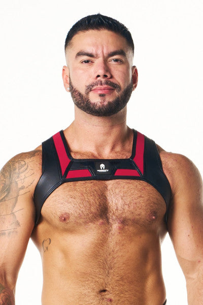 Pegasus Harness