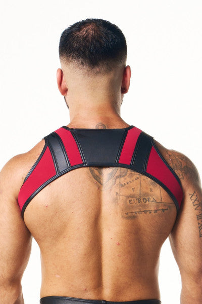 Pegasus Harness