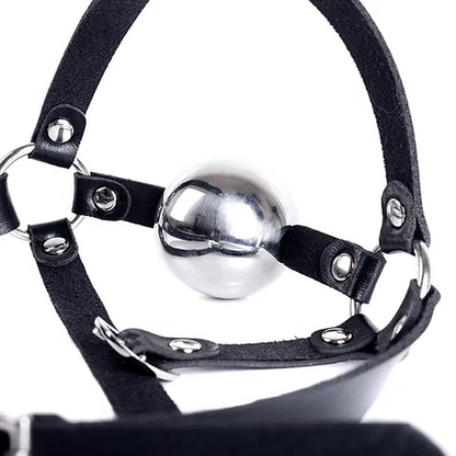 Steel Ball Gag
