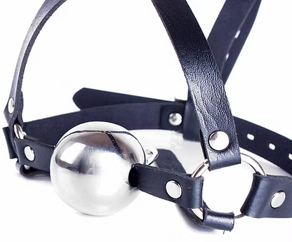 Steel Ball Gag