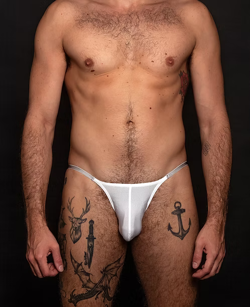 White Mesh Brief