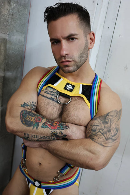 Retro Remix Harness