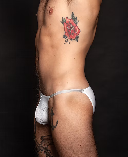 White Mesh Brief